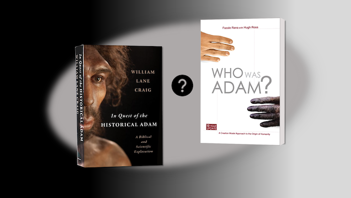 Comparing books on Adam